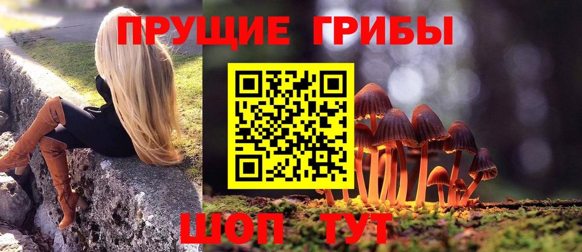 наркотики  Вход с VPN  Владивосток  Псилоцибиновые грибы прущие грибы 